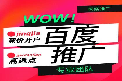 百度竞价排名实战：某电商平台的成功之路